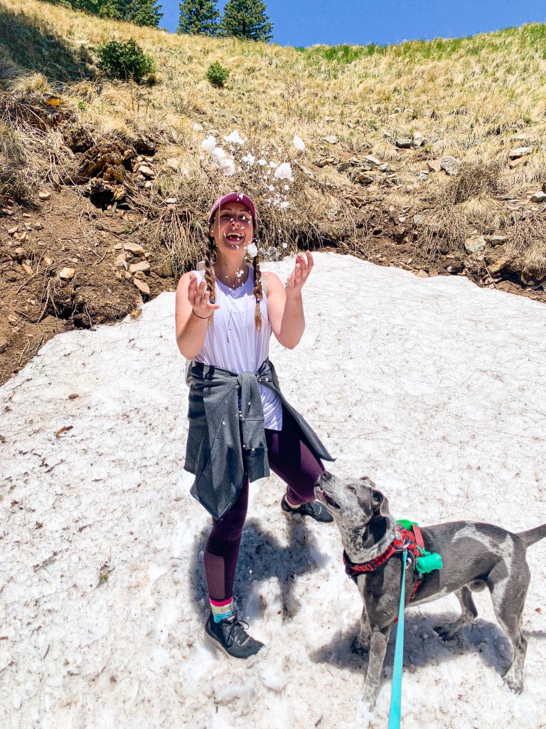 New Mexico
